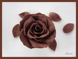 Chocolat Plastique Gateaux En Fete De Lilou 25 Chocolat Plastique Chocolat Faire Fondre Du Chocolat