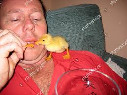 Wayne Odonnell Boris Duckling Editorial Stock Photo