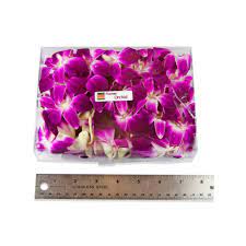 Fresh Karma Orchids Orchids Candy Flowers Edible Flowers