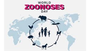 The day is celebrated by organisations that work for violence against women, genocide and crimes. World Zoonoses Day 2021 Significance In Light Of Covid 19 Pandemic