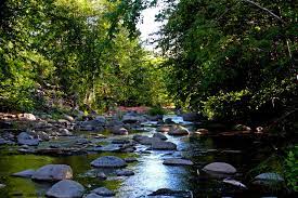 4 Must Visit Swimming Holes Near Flagstaff Arizona Swimming Holes Arizona Hiking Arizona Adventure