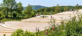 Heidelbeeren werden auch als blaubeeren bezeichnet. Hesselberg Panorama De Gartenschau Wassertrudingen