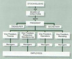 14 best non profit organizational structures images