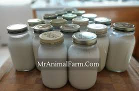 Can You Freeze Milk A Fast Easy Way To Preserve Milk In 2020 Milk Canning Frozen