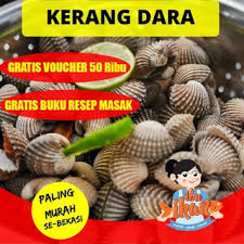 Jual kerang dara kupas 250g premium dengan harga rp25.000 dari toko online sayur segar | official, jakarta selatan. Abang Sayur Kerang Darah Kupas Kerang Kupas Calm Shopee Indonesia