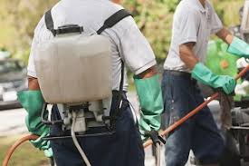 Pest controllers you can trust. Pest Control Services Accurate Termite Pest Solutions Eureka Ca