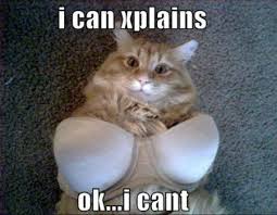Funny Cat Pictures 1 27 13 Poot Cute Cat Memes Funny Cat Pictures Funny Cats