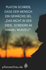 Wie kann man sagen, mozart habe seinen don juan komponiert! Uber Pflanzenfrau Pflanzen Gewachs Wilde Mohren