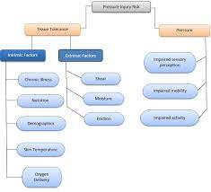 Calcium drains from long bones due to immobility. Clinical Guidelines Nursing Pressure Injury Prevention And Management