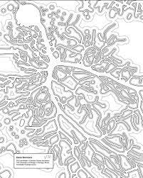 Earth science coloring page / cover page. Stay In The Lines With These Neat Science Coloring Pages
