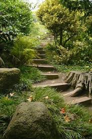 Botanical Garden Path Senderos De Jardin Jardines Bonitos Escaleras Jardin