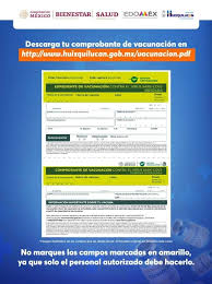 Población que viaja al extranjero: Dif Huixquilucan En El Siguiente Link Puedes Descargar El Formato Federal De Vacunacion Desde El Portal Del Gobierno Municipal Recuerda Que Es Importante Llenarlo Correctamente Para Agilizar El Acceso En Las