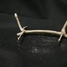 Yang pertama, bambu petuk yang secara alamiah terbentuk dari alam. Jual Produk Petuk Bambu Petuk Asli Termurah Dan Terlengkap Agustus 2021 Bukalapak