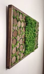 Gunes Almayan Kapali Alanlariniz Mi Var Yesil Atolye Ic Mekanlariniza Dogadan Bir Parca Sunuyor Herhangi Bir Baki Garden Wall Art Moss Wall Art Diy Wall Art