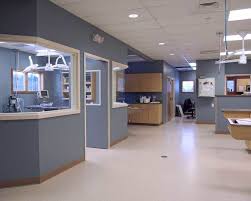 Mckean Veterinary Hospital Veterinary Design Architects Animal Hospital Design Copich Architects In 2020 Hospital Design Veterinary Hospital Pet Clinic