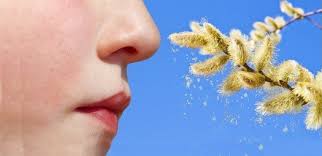 Wie funktioniert ein allergietest bei kindern? Allergie Bei Baby Sowie Kindern Symptome Erkennen Richtig Handeln