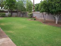 Phx50slandscaping1959 Jpg 800 600 Backyard Landscaping Landscape Design Garden Design