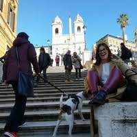 ♦ a grăbi, a forța (o hotărâre. Elisa Brusca Universita Degli Studi Di Firenze University Of Florence Academia Edu