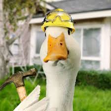Aflac Duck Construction Duck Aflac Duck Duck Memes Pet Birds