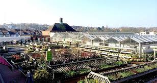 Voted The 3rd Best Garden Centre In The Uk Garden Center Amazing Gardens Garden