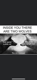 More images for wolves haircut » Why Do Wolves Care About Your Hairstyle Oddlyspecific