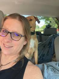 ✨ My friend just sent me a picture of her Limited Edition Scentsy Warmer  and oh my goodness, it's absolutely stunning! 😍 The soft glow, the  snow-covered trees, and that little red