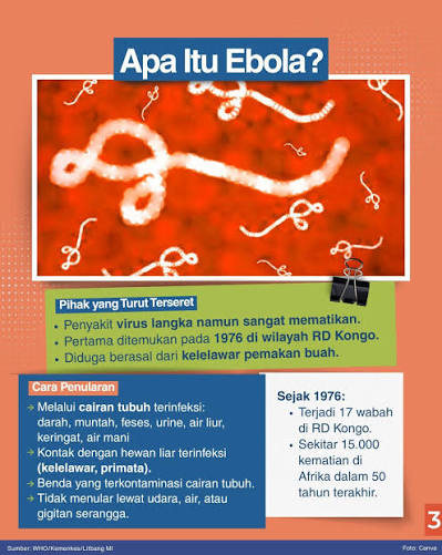WHO menetapkan wabah Ebola sebagai darurat kesehatan global setelah  lonjakan kasus di Afrika Tengah dan Timur. Meski berstatus darurat  internasional, organisasi kesehatan dunia menegaskan situasi ini belum  masuk kategori pandemi seperti Covid-19.