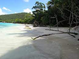 Cinnamon Bay Virgin Islands National Park National Parks Virgin Islands
