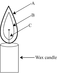 How to draw a candle real easy with award winning illustrator, shoo rayner, who has illustrated well over 200 children's books. The Different Zones Of A Candle Flame Are Marked By The Letters A B And C Which Of The Following Is Correct