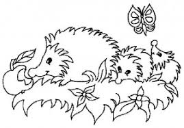 Igel Ausmalbilder Naturstrolche
