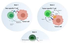 Aducanumab is a human monoclonal antibody that has been studied for the treatment of alzheimer's disease.1 it for faster navigation, this iframe is preloading the wikiwand page for aducanumab. Certara S Qsp Chronicles World Renowned Thought Leadership Certara