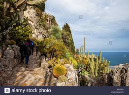 Visite du jardin, de la grotte de l'observatoire et du musée d'anthropologie. Exotischen Garten In Monaco Jardin Exotique De Monaco Im Furstentum Am Mittelmeer In Europa Stockfotografie Alamy