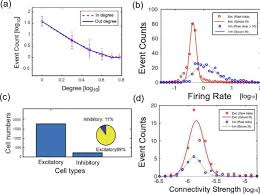 Inhibitory Neurons Are A Central Controlling Regulator In The Effective Cortical Microconnectome Biorxiv