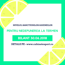 Termen bilant 30 iunie 2020. Destul Impiedica Cristal Cine De Pune Bilant La 30 06 2018 Josephquimbyjr Com