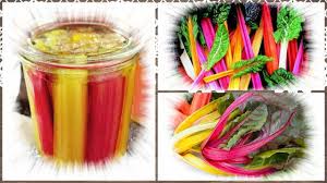 Vorratshaltung Garten Kochen Rezepte Gesundheit Dekoideen Hausmittel Eingemachte Mangoldstiele Einmachen Mangold Fermentiertes Gemuse