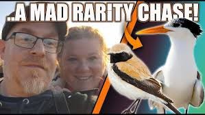 A Rare Siberian Bird… in Delaware? Our Rarest Find of the Year!