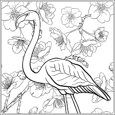 Fairies can be any color or a mix of many colors. Flamingo In Fantasy Flower Garden Outline Hand Drawing Good For Coloring Page For The Adult Coloring Book Stock Vector Illustration Royalty Free Cliparts Vectors And Stock Illustration Image 111921621
