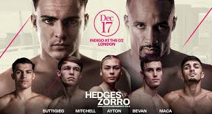 Ana Karla Vaz De Moraes (boxing): next fight, last fight result, boxing  record (table)