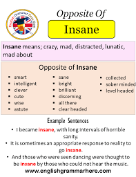 Afflicted with mental derangement, having a disordered mind, mad: Opposite Of Insane Antonyms Of Insane Meaning And Example Sentences English Grammar Here