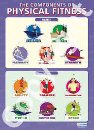 Wall Chart The Components Of Physical Fitness