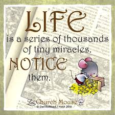 Life Is A Series Of Thousands Of Tiny Miracles Quotes Pin On Little Church Mouse