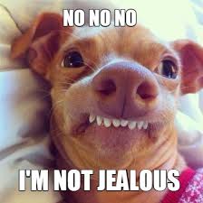 Collection by social media bang. Meme Creator Funny No No No I M Not Jealous Meme Generator At Memecreator Org