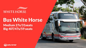 Dalam menetukan harga sewa bus pariwisata terdapat banyak hal yang menjadi faktor penentu. Info Lengkap Foto Harga Sewa Bus Pariwisata White Horse Saturental