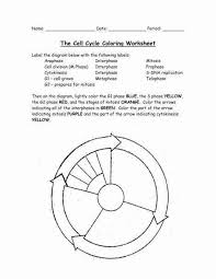 Cells Alive Worksheet Answer Key Lovely The Cell Cycle Worksheet Answer Key In 2020 Cell Cycle Color Worksheets Cell Division