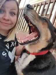 Is there a picture of shirt & sweatshirt for Natchez Trace race? Thank you  😊