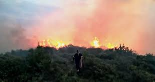 Η φωτιά τώρα έχει φύγει από εκεί, πέρασε απέναντι στην μητροπολίτου και έχει μπει στο κόκκινο χωράφι καίει δάσος αυτή την ώρα. Anatolikh Attikh Nea Fwtia Sth Brayrwna Twra Slpress Gr