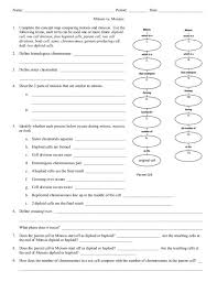 Andersen uses chromosome beads to simulate both mitosis and meiosis. Comparing Mitosis And Meiosis Worksheet Answer Resource Plans Summary Of Coloring Answers Summary Of Mitosis And Meiosis Coloring Worksheet Answers Worksheet Word Problems Year 3 7 Worksheet Graph Plotter From Equation Examples
