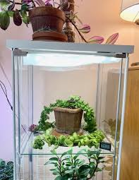 Maybe you would like to learn more about one of these? Ikea Greenhouse Cabinet Hack Sprouts And Stems