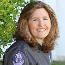 Profile for Simi Torch Team: The Collaboration