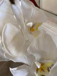 Grâce aux matériaux de conception de dernière génération utilisés dans la conception des fleurs que nous vous proposons, l'aspect et la couleur des fleurs artificielles. Comment Nettoyer Vos Fleurs Artificielles Jours De Printemps Fleurs Artificielles Haut De Gamme